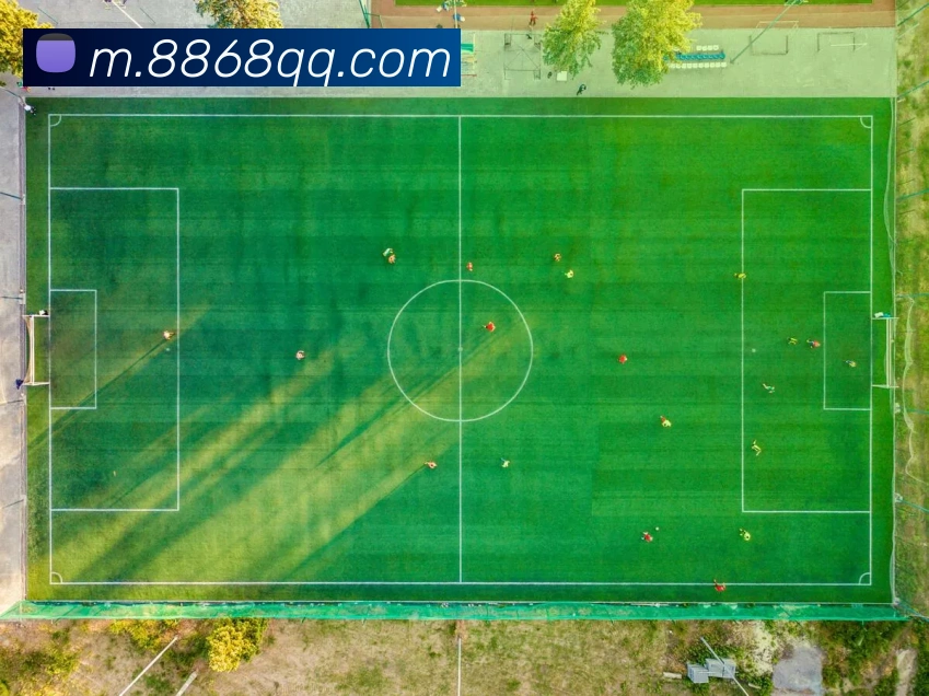 8868体育全站App